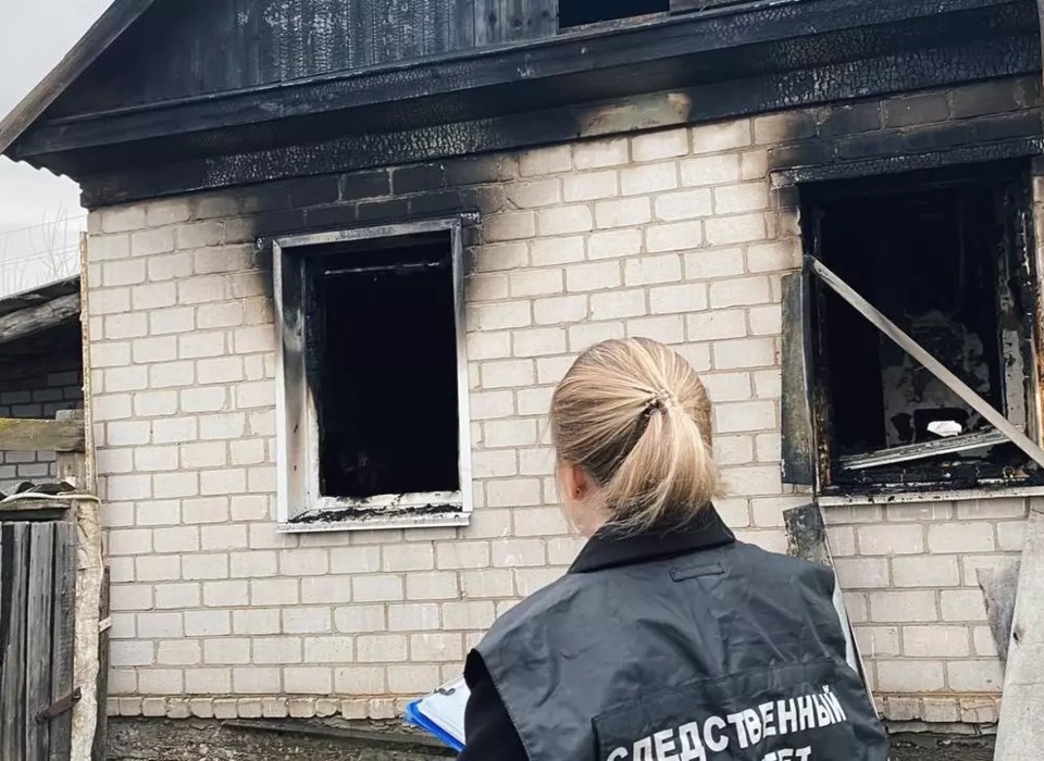 Из-за новогодней гирлянды под Волгоградом сгорели 2 ребенка и женщина